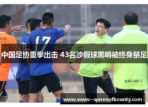 中国足协重拳出击 43名涉假球黑哨被终身禁足