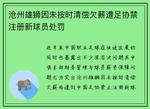 沧州雄狮因未按时清偿欠薪遭足协禁注册新球员处罚